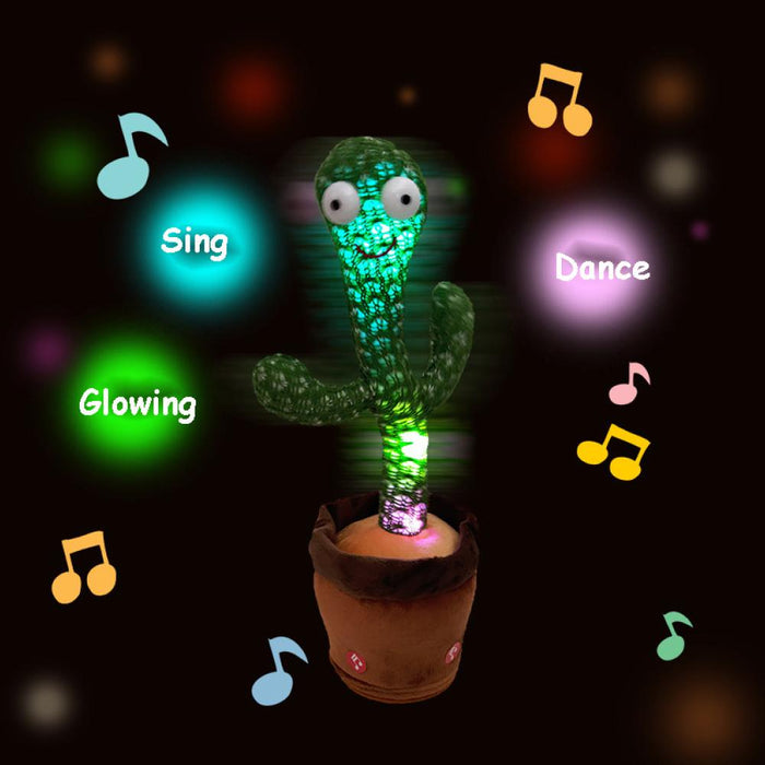 Cactus Ballerino A Ritmo Di Musica